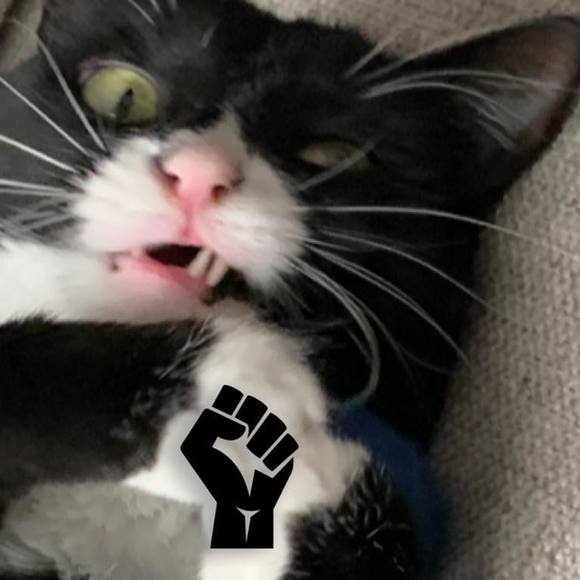 grrrbo